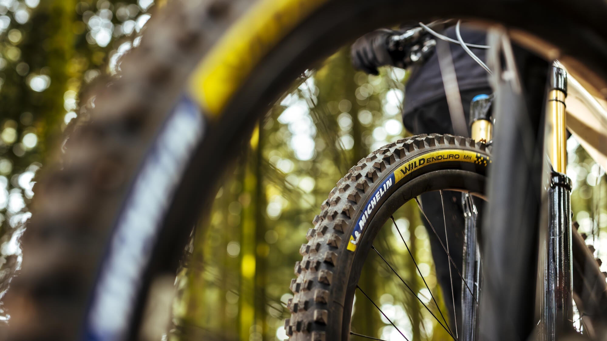 Trail / Enduro Tyres